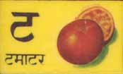 tamatar