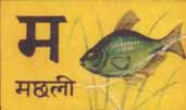 machli