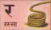rasi